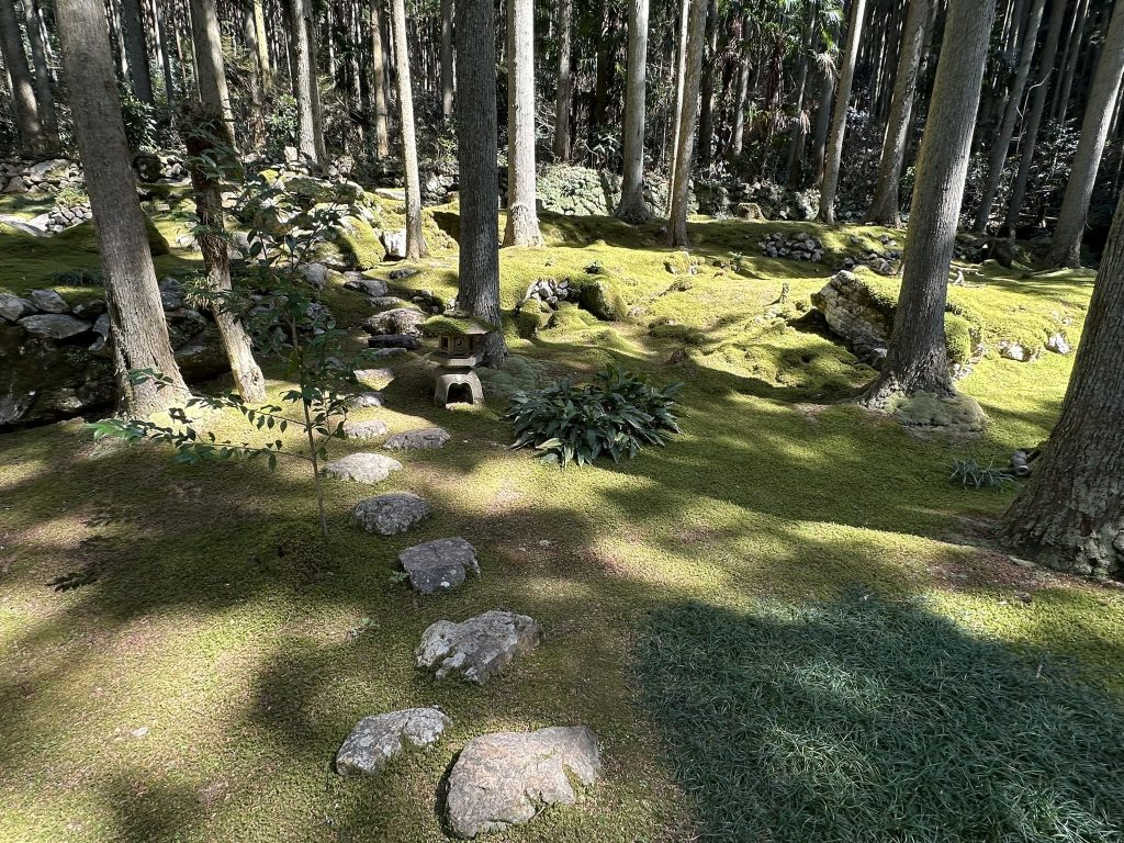 ギャラリー喫茶苔莚