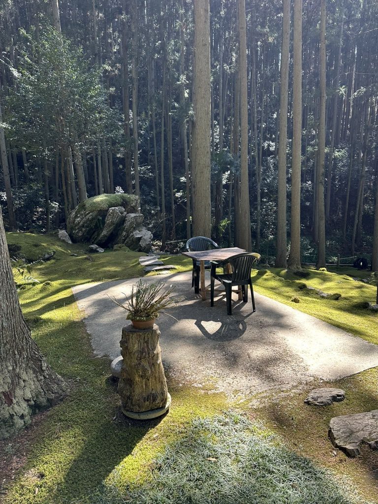 ギャラリー喫茶苔莚