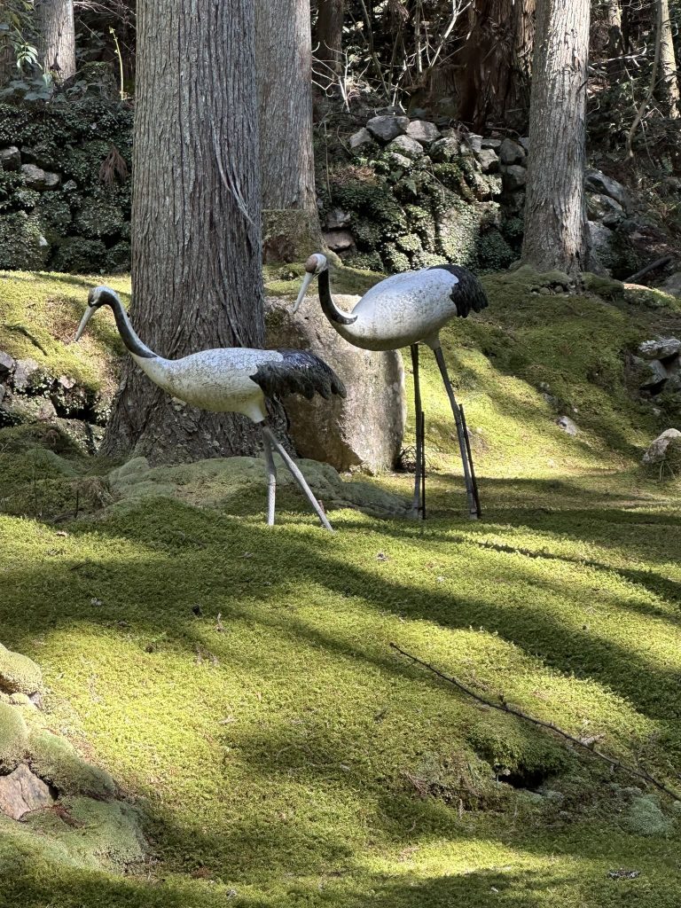 ギャラリー喫茶苔莚