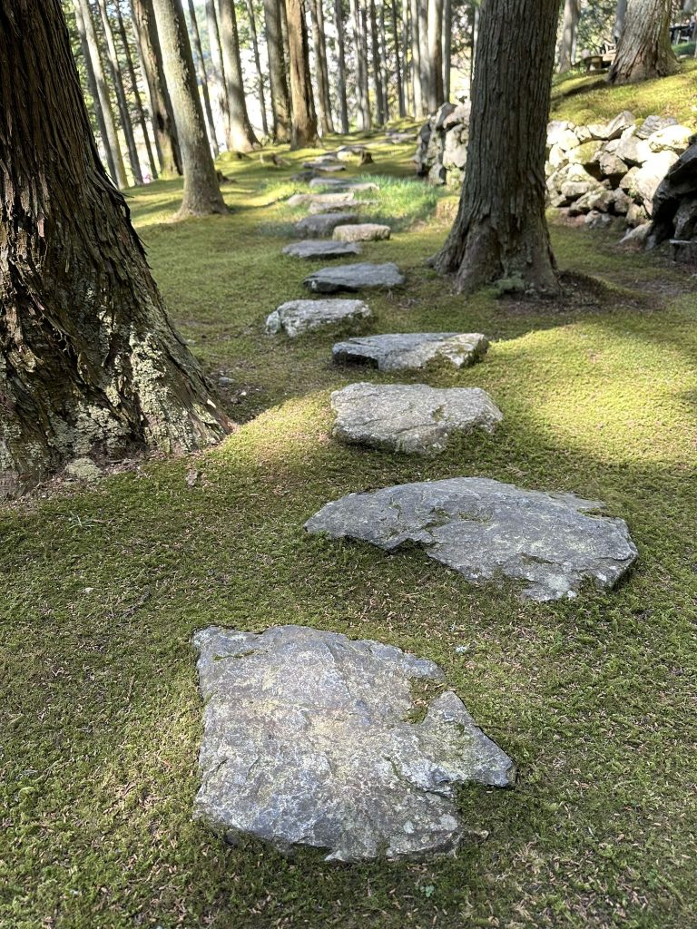 ギャラリー喫茶苔莚