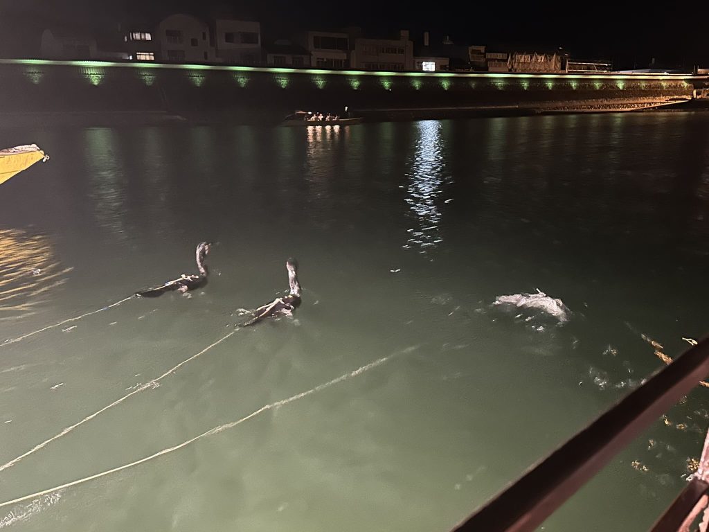 大洲の鵜飼写真