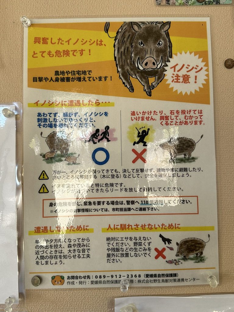 イノシシ注意の連絡先にみきゃん