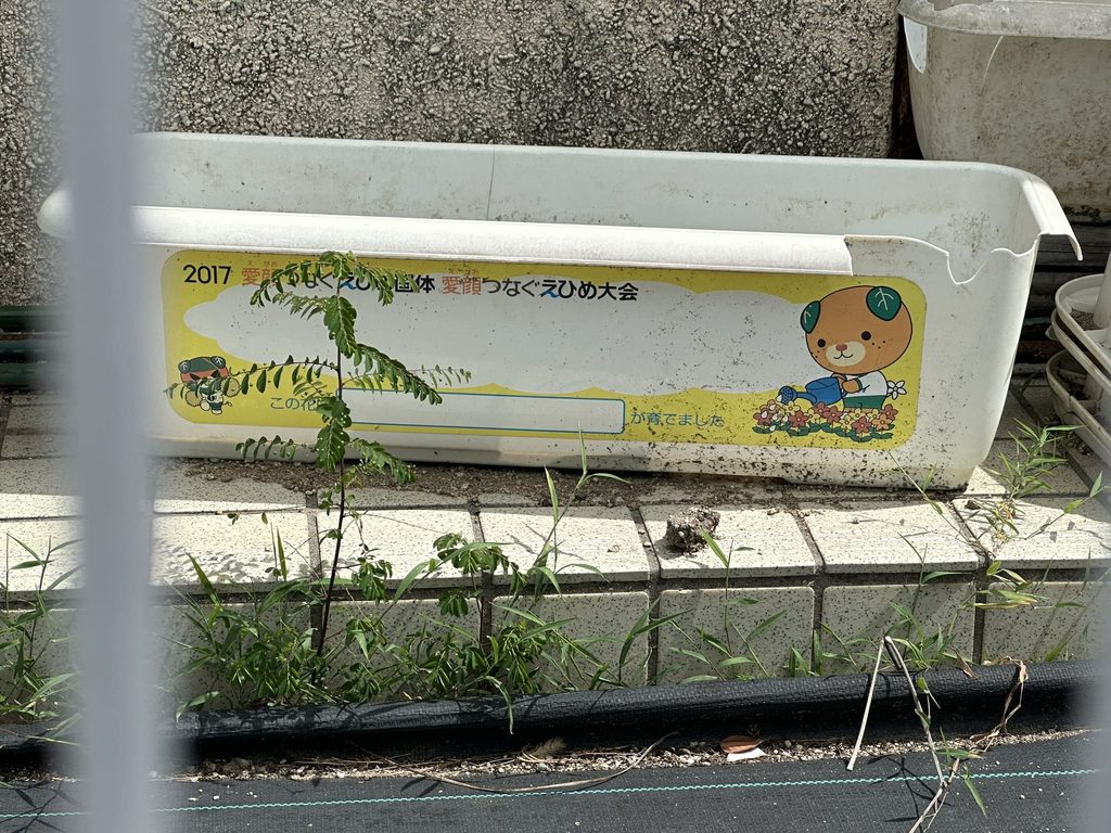 えひめ国体プランターみきゃん
