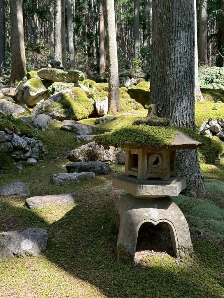 ギャラリー喫茶苔莚（こけむしろ）愛媛県西予市宇和町
