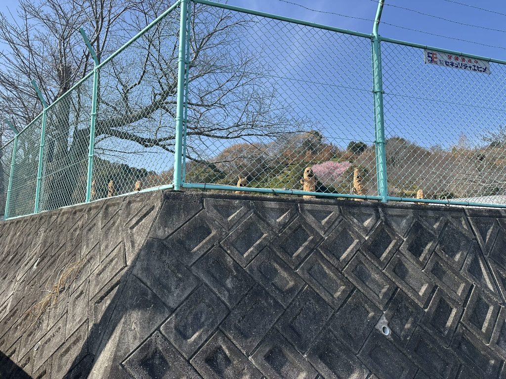 五郎兵衛谷古墳群の埴輪