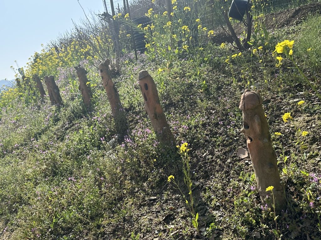 五郎兵衛谷古墳群の埴輪