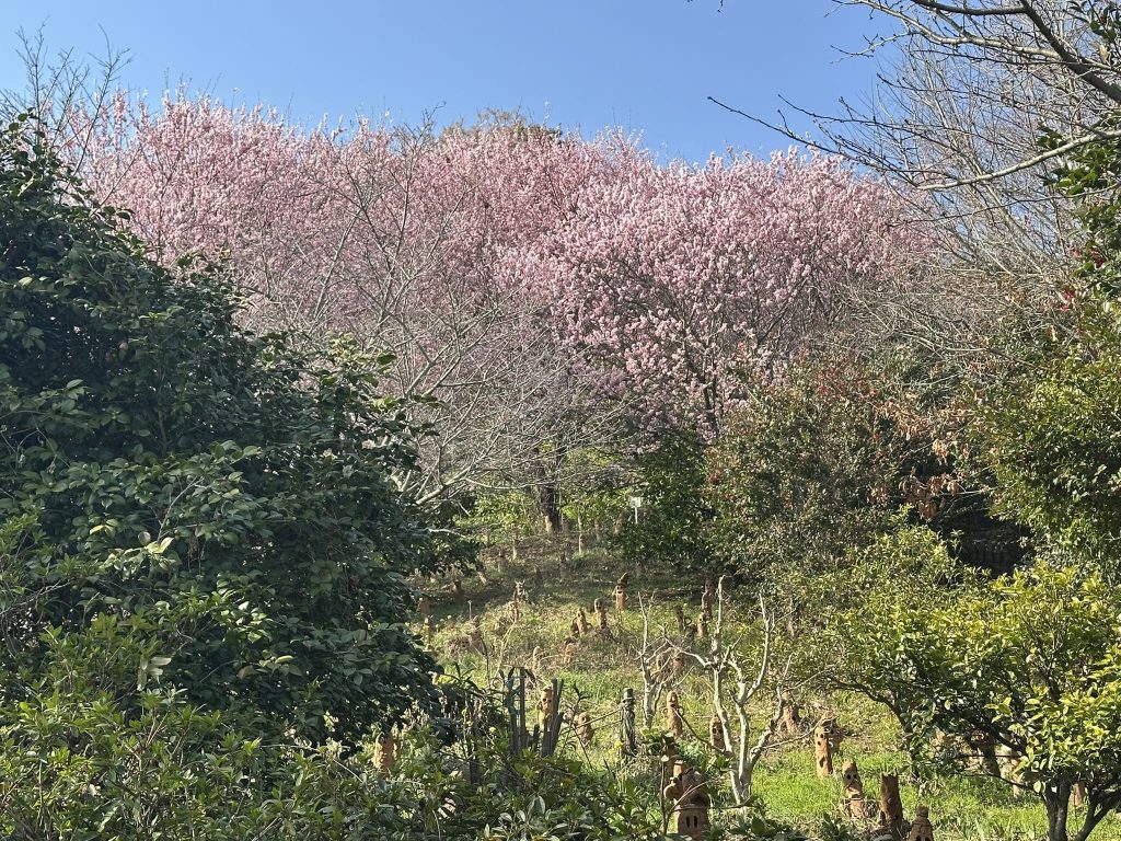 五郎兵衛谷古墳群の埴輪