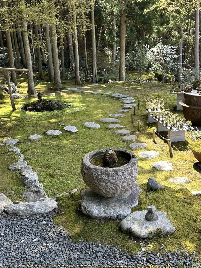 ギャラリー喫茶苔莚（こけむしろ）愛媛県西予市宇和町