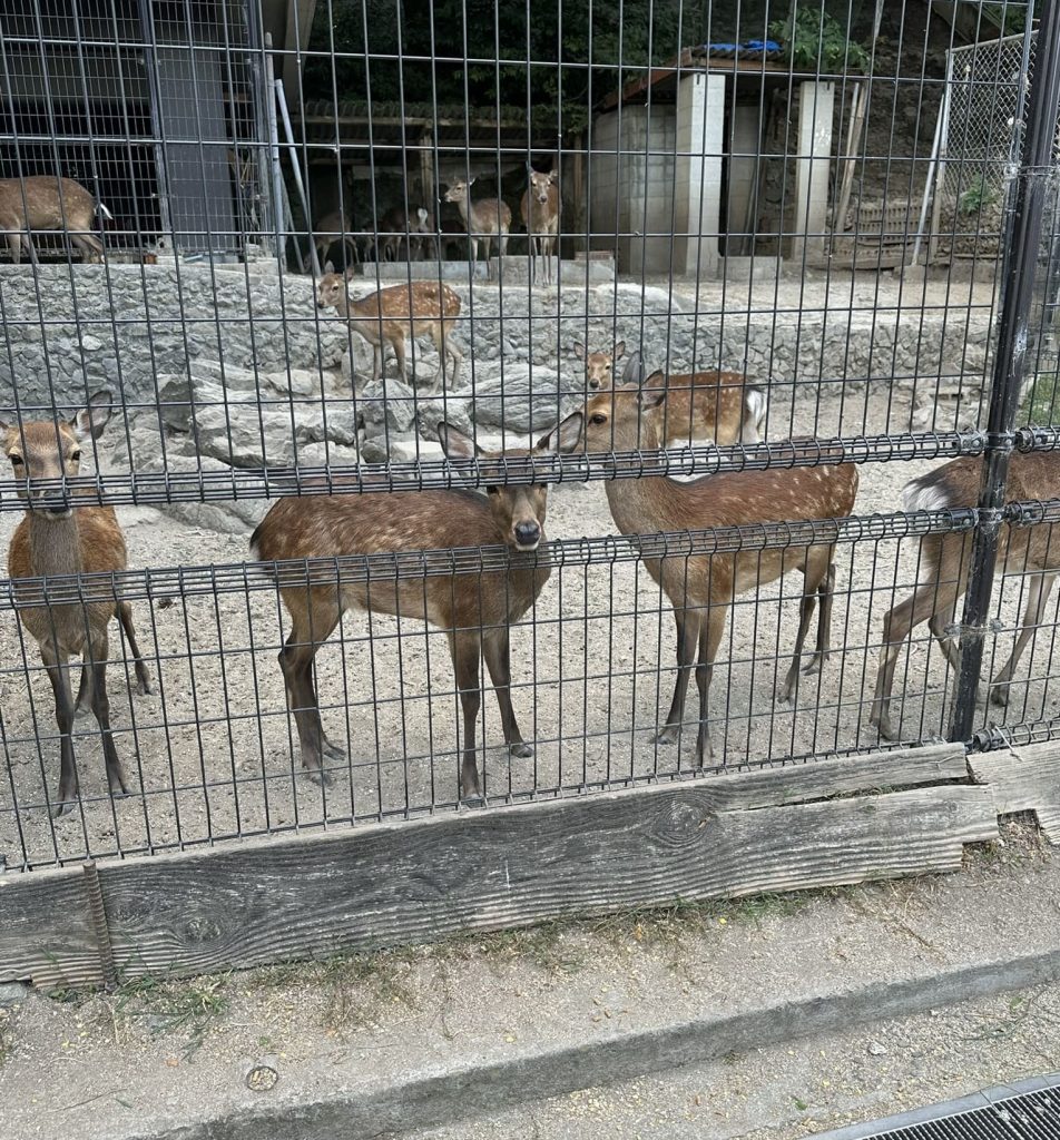 鹿島（愛媛県松山市北条地区）
