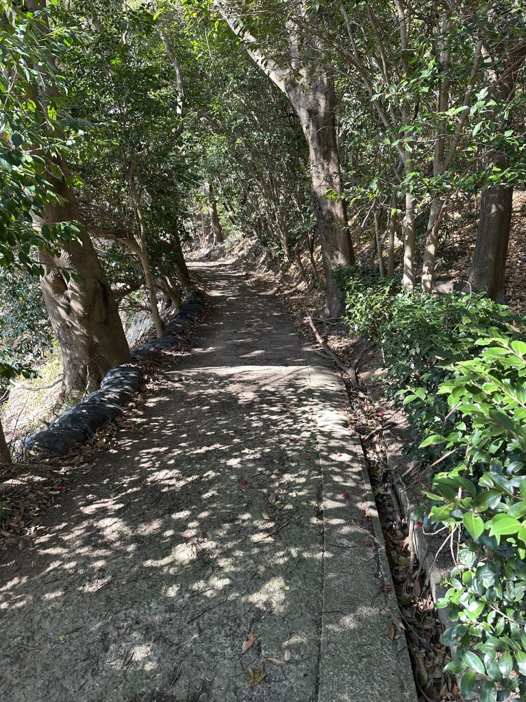 小島観光では山道や階段をズンズン進んでいきます