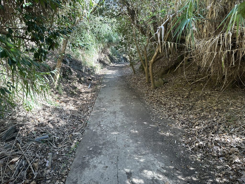 小島観光では山道や階段をズンズン進んでいきます