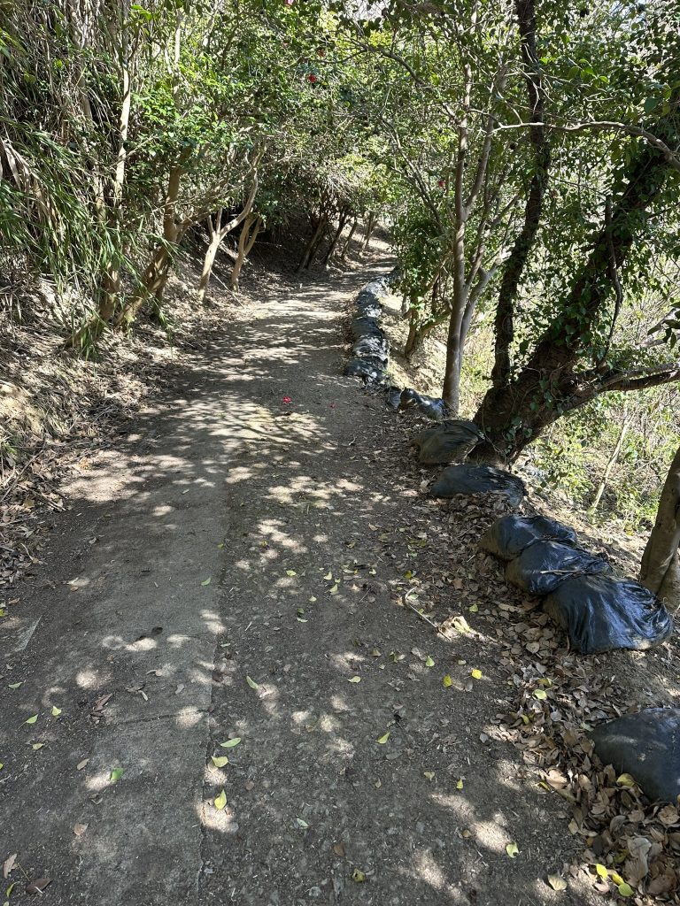 小島観光では山道や階段をズンズン進んでいきます