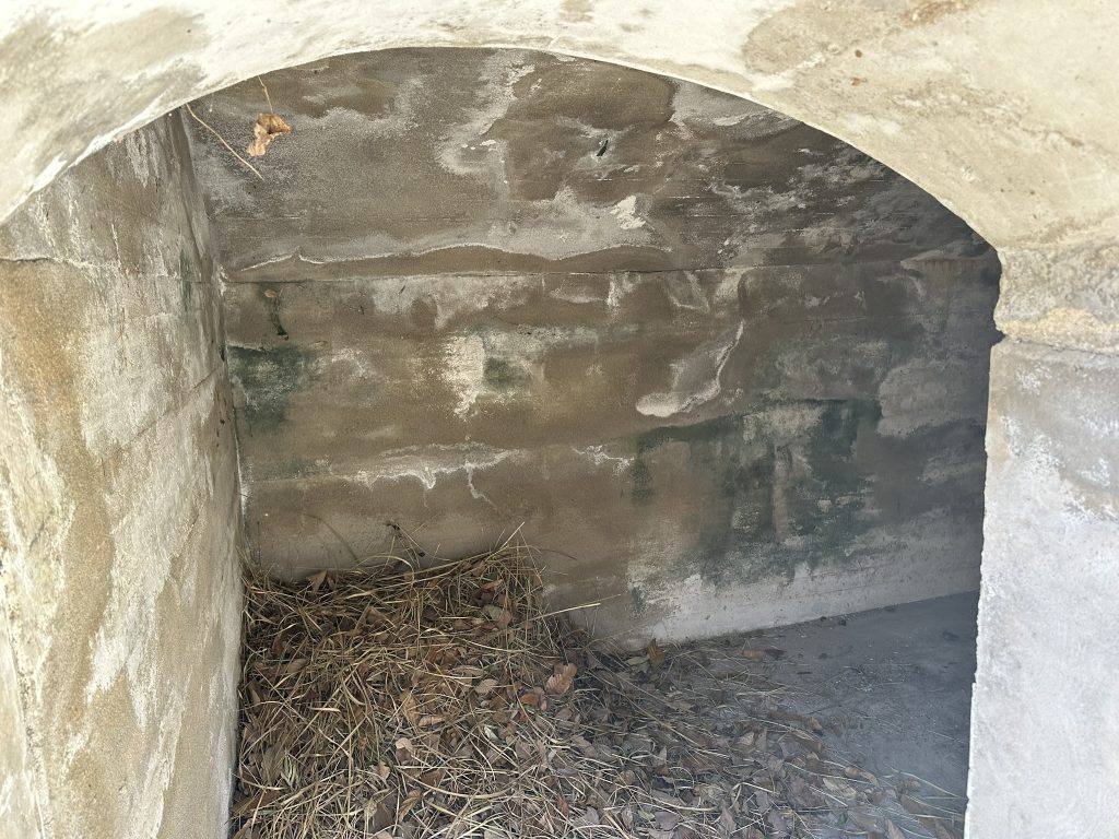 将校地下室跡(愛媛県今治市 小島の芸予要塞跡散策)