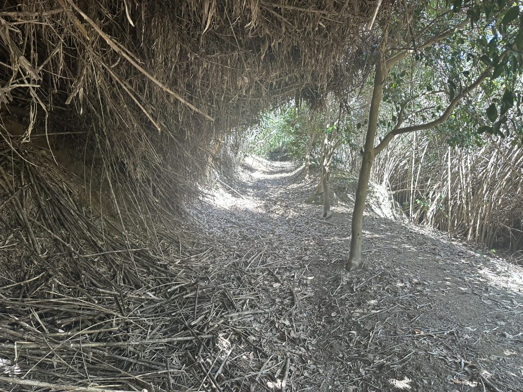 小島観光では山道や階段をズンズン進んでいきます