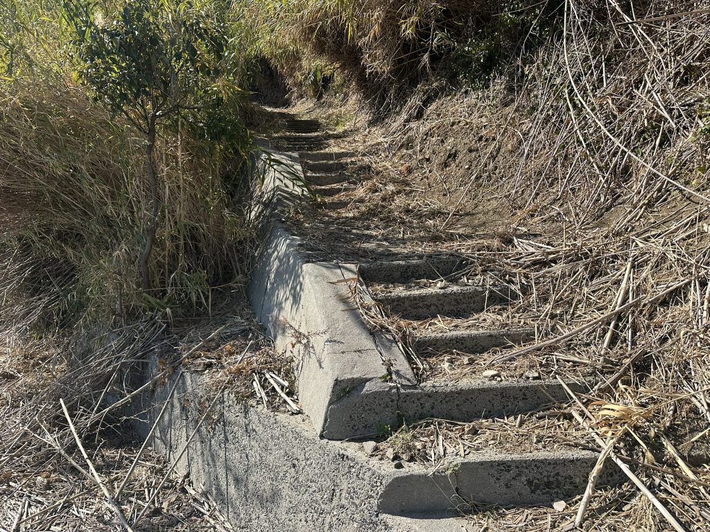 小島の港への帰り道は島の海岸を歩きます