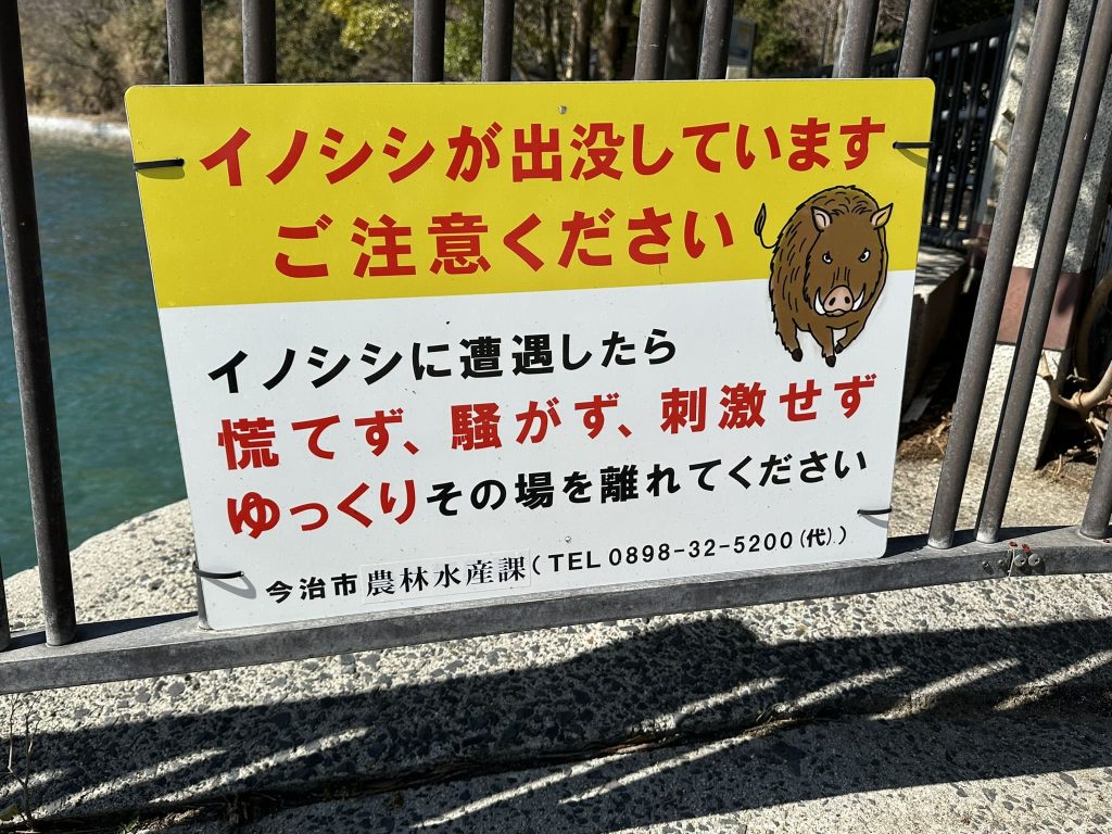 イノシシ注意