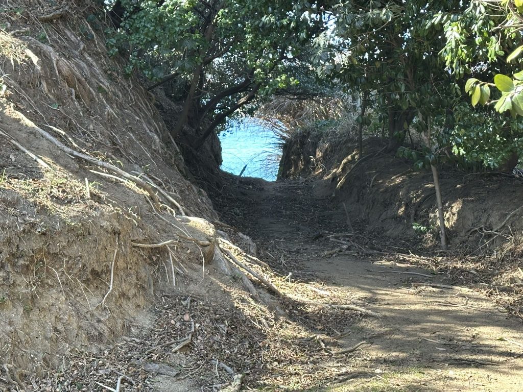 小島観光では山道や階段をズンズン進んでいきます