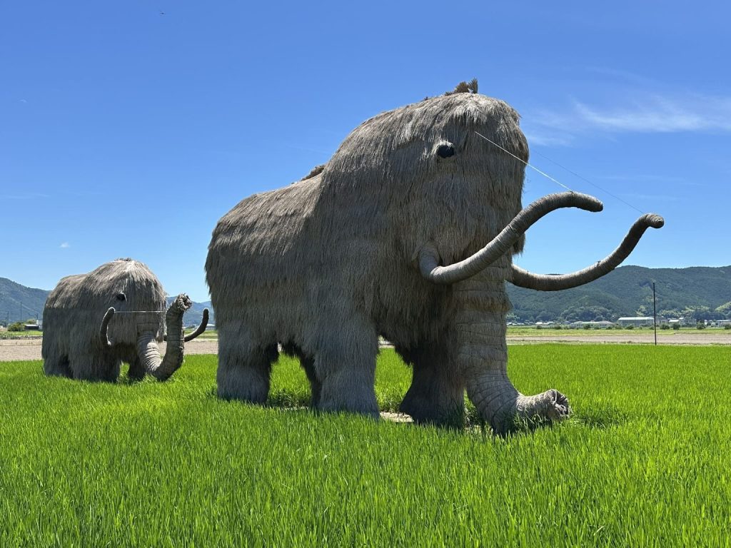 わらマンモス