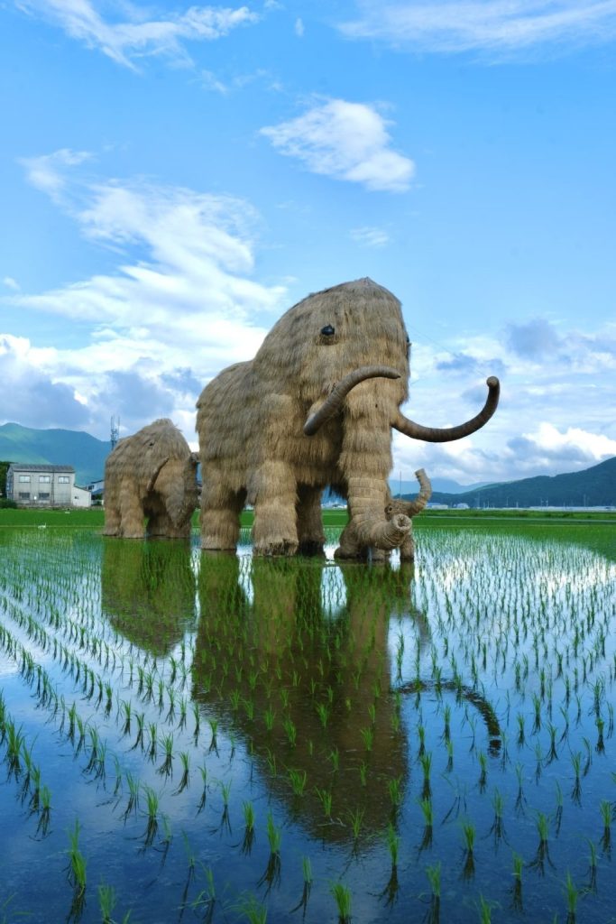 わらマンモス