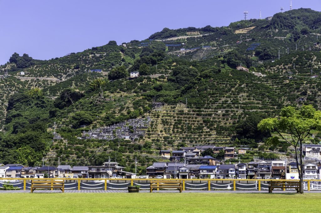 道の駅・みなとオアシス 八幡浜みなっとからの風景