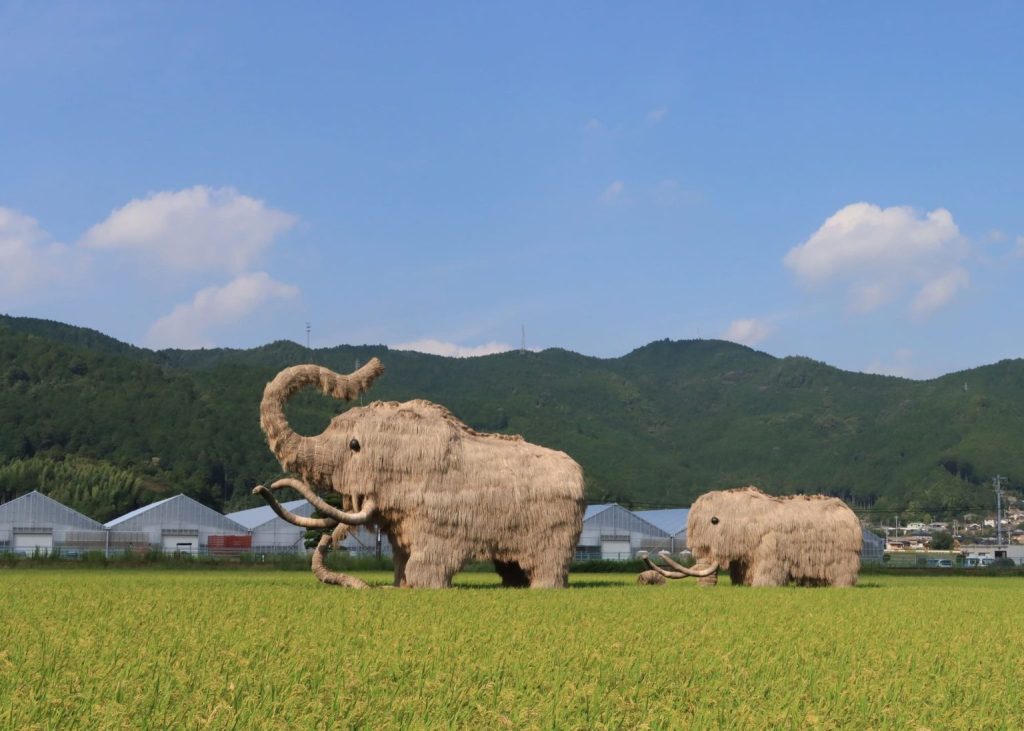 わらマンモス