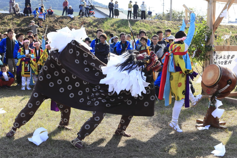 愛南町秋祭り写真