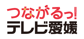 テレビ愛媛