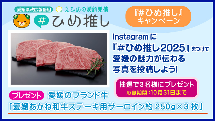 『#ひめ推し』キャンペーン